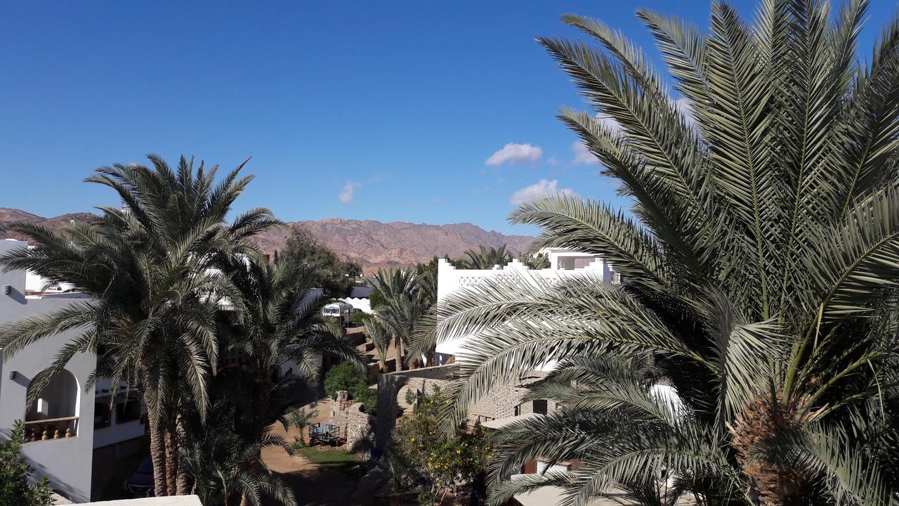 New Yalla Hotel Dahab Kültér fotó